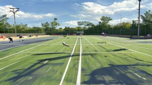 Cómo Construir Tu Propia Pista de Pickleball